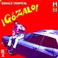 Gozalo Bugalu Tropical, vol 1 yH5BAEAAAAALAAAAAABAAEAAAIBRAA7 - Gozalo Bugalu Tropical, vol 1