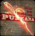 asian dub fundation