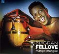 el-gran-fellove.jpg