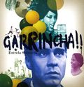 Garrincha Estrela Solitària yH5BAEAAAAALAAAAAABAAEAAAIBRAA7 - Garrincha Estrela Solitària