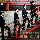 Gatos Bizcos yH5BAEAAAAALAAAAAABAAEAAAIBRAA7 - Gatos Bizcos