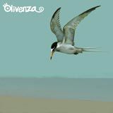 OlivenzaCD