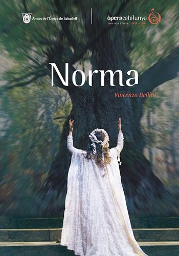 Norma yH5BAEAAAAALAAAAAABAAEAAAIBRAA7 - Norma
