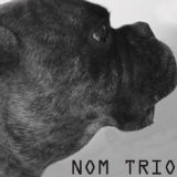 NOM Trio. yH5BAEAAAAALAAAAAABAAEAAAIBRAA7 - NOM Trio.