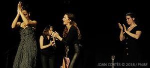 LaboratoriA – Flamenco Project yH5BAEAAAAALAAAAAABAAEAAAIBRAA7 - LaboratoriA – Flamenco Project
