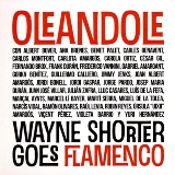 Oleandole yH5BAEAAAAALAAAAAABAAEAAAIBRAA7 - Oleandole