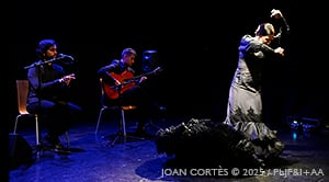 Rocío Garrido (baile) Ismael de la Rosa (cante) y David Caro (guitarra) yH5BAEAAAAALAAAAAABAAEAAAIBRAA7 - Rocío Garrido (baile) Ismael de la Rosa (cante) y David Caro (guitarra)